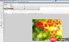 Macromedia Flash 8怎么制作动态贺卡