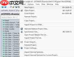 source insight怎么导入项目