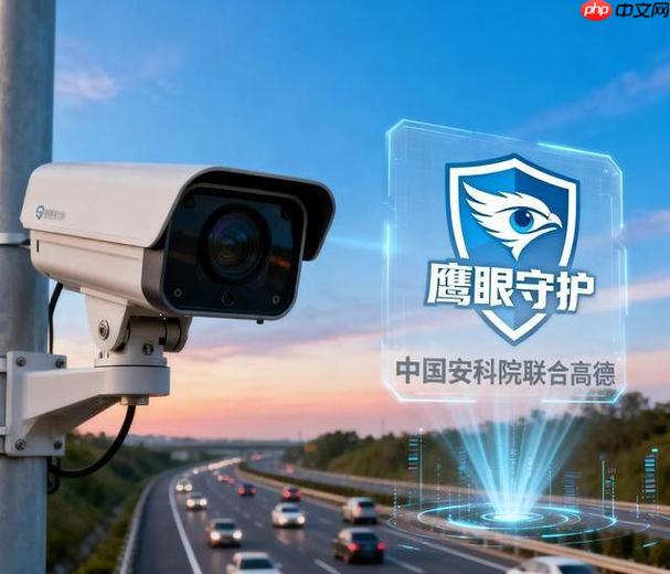 高德鹰眼团队协作权限怎么分配_高德鹰眼协作权限管理设置教程【管理】