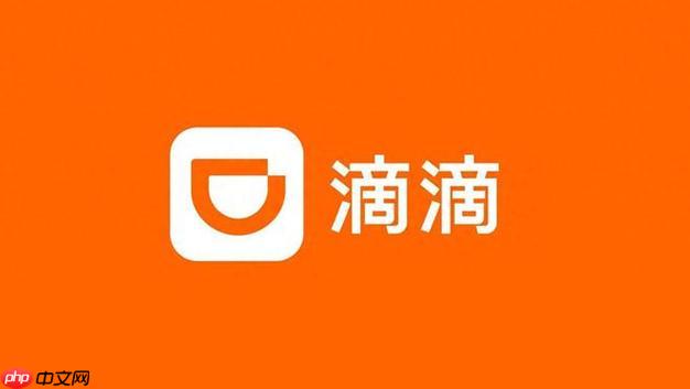 滴滴出行2025年度报告没有弹窗怎么找 滴滴账单手动查询