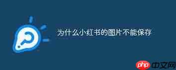 发小红书如何防止被存图  第1张