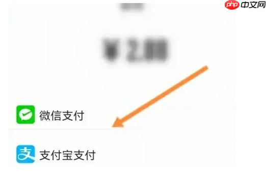 233乐园app怎么开通会员-会员开通方法  第4张