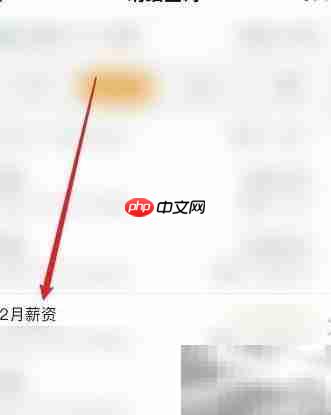 帅手工资软件使用指南  第3张