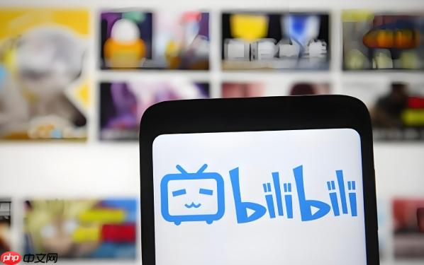 Bilibili动漫网页登录链接 Bilibili动漫资源版直达地址  第1张