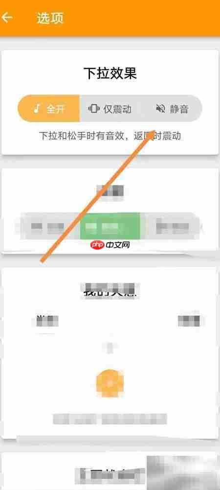 天意APP下拉静音设置方法  第3张