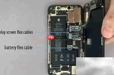 iPhone 11 Pro扬声器更换指南  第6张