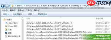射手影音如何开启自动下载字幕  第2张