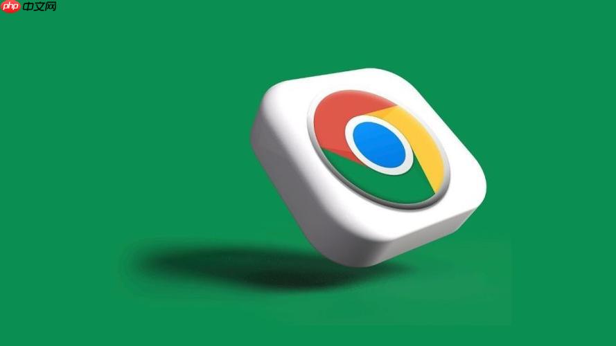 chrome浏览器搜索浏览器官网入口登录 chrome引擎官方入口  第1张