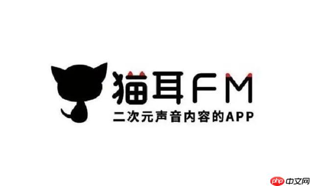 猫耳FM登录官方网站 网页版入口  第1张
