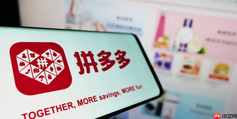 拼多多怎么提现商家版_拼多多商家版余额提现流程及到账时间  第1张