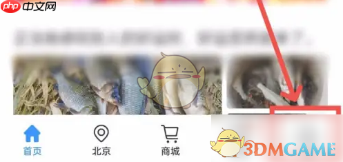 《钓鱼人》导航钓位方法  第1张