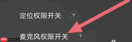 积木机器人app麦克风怎么开-麦克风权限设置方法  第3张