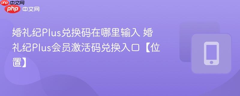 婚礼纪Plus兑换码在哪里输入 婚礼纪Plus会员激活码兑换入口【位置】  第1张