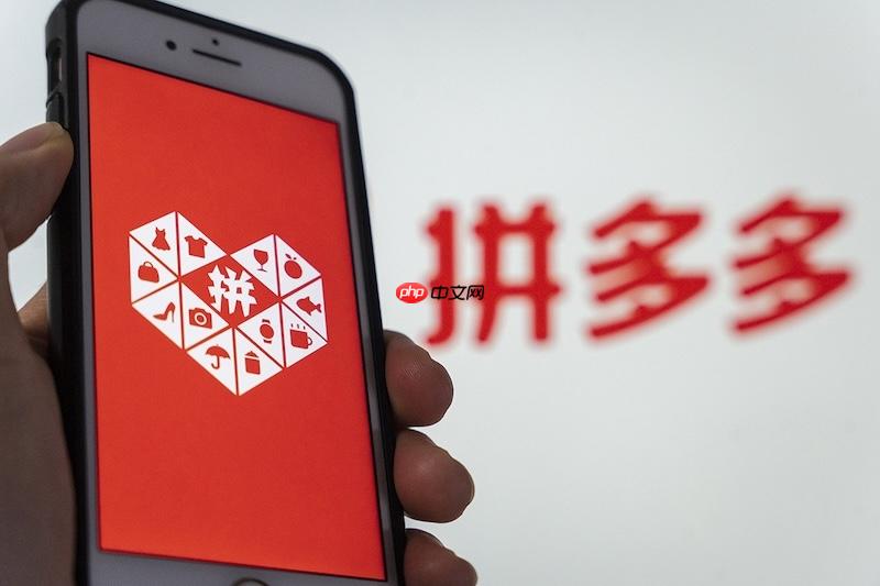 拼多多商家版提现什么时候到账_拼多多商家版提现到账时间及查询  第1张