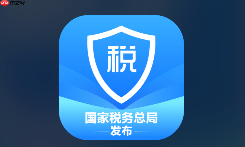 个人所得税年度汇算入口 个人所得税网页版退税申报入口