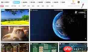 小鸟壁纸如何开启流量监控