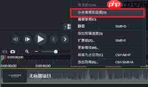 Camtasia如何分离人声与噪音