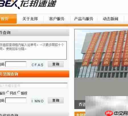 龙邦快递单号查询指南  第4张