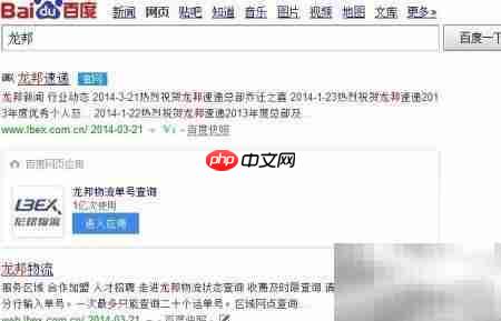 龙邦快递单号查询指南  第3张