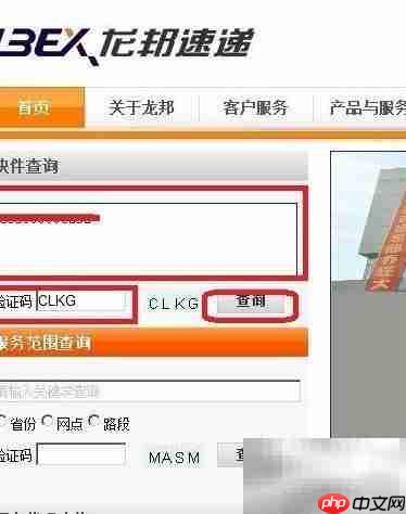 龙邦快递单号查询指南  第5张