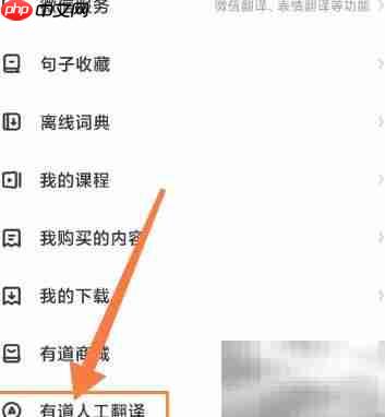 网易有道词典中日翻译技巧