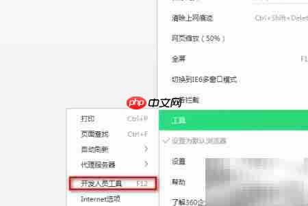 360浏览器开发工具在哪  第5张