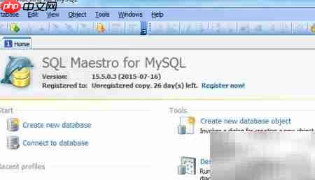 Maestro删除函数参数教程  第1张