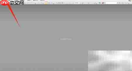 PDF Viewer浏览器显示设置