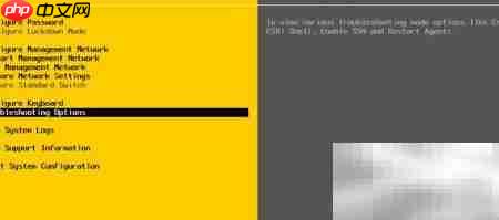 控控远程控制VM-Esxi指南  第9张