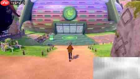 宝可梦剑盾存档删除方法  第3张