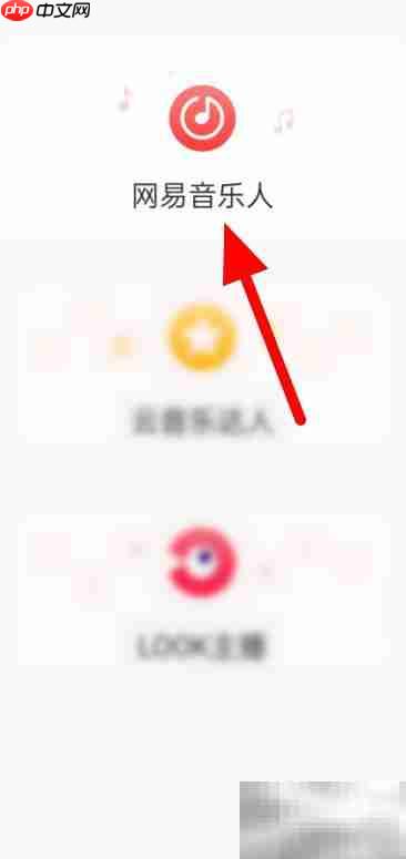 网易音乐人入驻申请指南  第3张