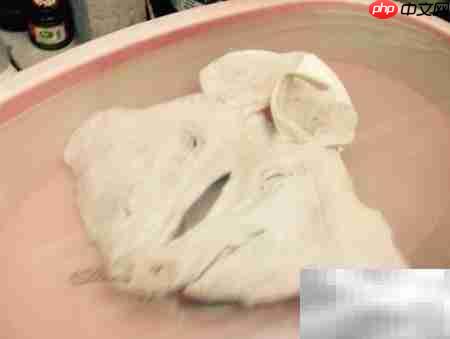 猪头糕制作方法详解  第3张