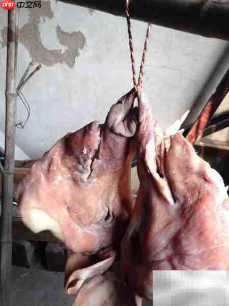 猪头糕制作方法详解