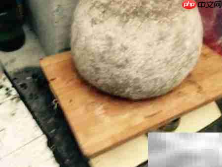 猪头糕制作方法详解  第8张