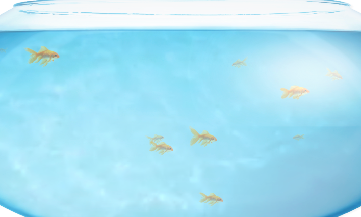 Fishbowl鱼缸测试在线入口 Fishbowl在线测试链接  第1张