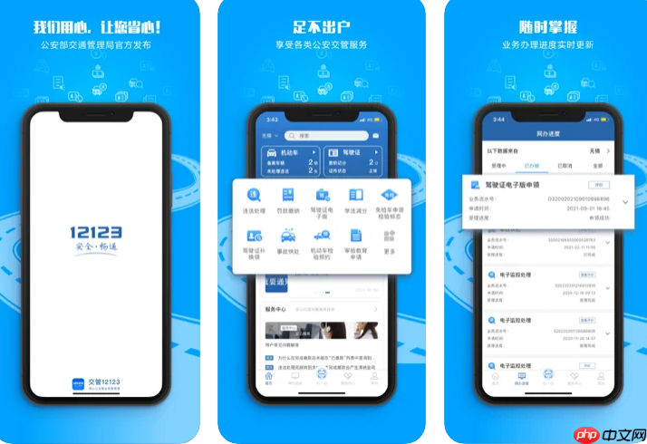 交管12123官网网页版主服务站 交管12123官方入口服务专线  第1张