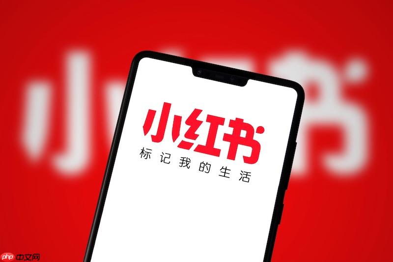 小红书怎么关注博主 小红书关注功能使用与获取最新动态技巧