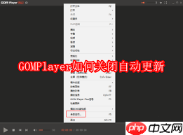 GOMPlayer怎么设置自动检查最新版  第2张