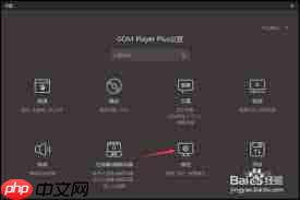 GOMPlayer怎么设置自动检查最新版  第3张