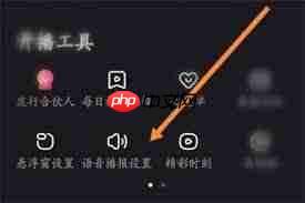 快手直播伴侣如何更改语速  第3张