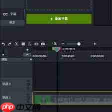 Camtasia如何设置字幕位置  第1张