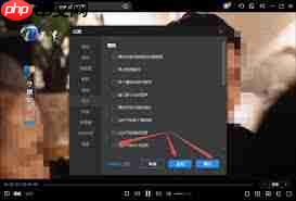 恒星播放器怎么设置显示指针  第1张