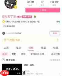 B站国产大片视频为何消失了  第2张