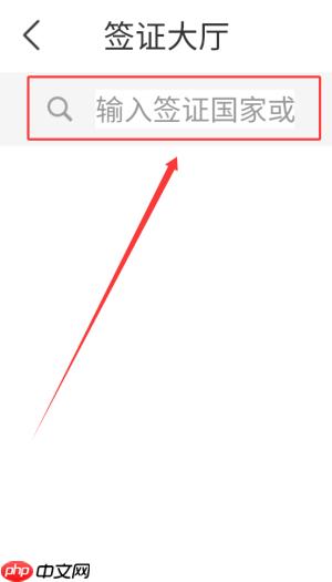 《中青旅遨游旅行》办理签证方法  第3张