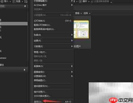ACDSee快速查看开启方法