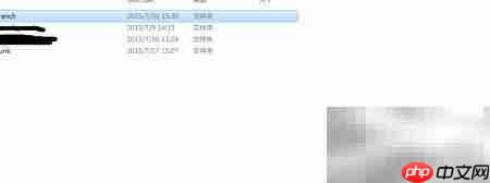SVN标签打包实战指南  第1张