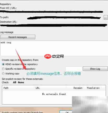 SVN标签打包实战指南  第4张
