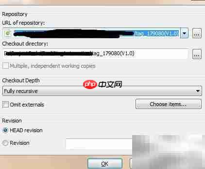 SVN标签打包实战指南  第6张