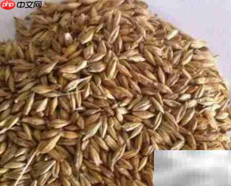 大麦饲料发酵配方指南  第3张