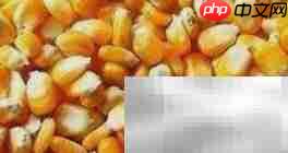 大麦饲料发酵配方指南  第6张